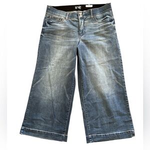 High Rise Cropped Jeans 16W